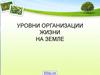 Уровни организации жизни на земле
