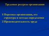 Трудовые ресурсы организации