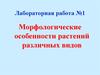 Морфологические особенности растений различных видов. (Лабораторная работа 1. 11 класс)