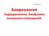 Биореология. Гидродинамика. Биофизика мышечных сокращений