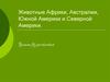 Животные Африки, Австралии, Южной Америки и Северной Америки