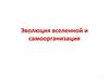 Эволюция Вселенной и самоорганизация