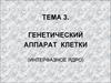 Генетический аппарат клетки