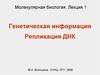 Генетическая информация. Репликация ДНК