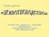 Животноводство. Окружающий мир. (3 класс)