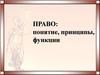 Понятие, принципы, функции права