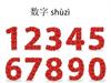 数字 shùzì