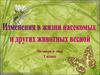 Изменения в жизни насекомых и других животных весной (человек и мир, 1 класс)