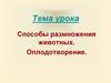 Способы размножения животных. Оплодотворение