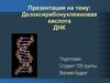 Дезоксирибонуклеиновая кислота ДНК