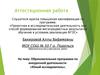 Аттестационная работа. Образовательная программа по внеурочной деятельности «Юный исследователь»