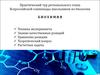 Олимпиада школьников по биологии. Биохимия