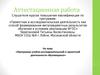 Аттестационная работа. Программа учебно-исследовательской и проектной деятельности обучающихся