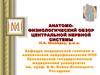 Анатомофизиологический обзор центральной нервной системы
