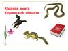 Красная книга Курганской области