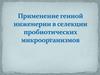 Применение генной инженерии в селекции пробиотических микроорганизмов