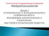 Гетерохронность функционального созревания мозга. Взаимосвязь биологических и социальных факторов в психическом развитии