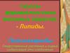 Группы фармакологически активных веществ: липиды, полисахариды. Лекарственные растения и сырье, содержащие эти cоединения