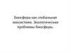 Биосфера как глобальная экосистема. Экологические проблемы биосферы