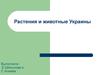 Растения и животные Украины