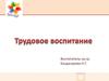 Трудовое воспитание