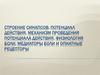 Строение синапсов. Потенциал действия. Механизм проведения потенциала действия. Физиология боли, медиаторы боли