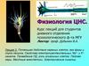 Потенциал действия нервных клеток, его фазы и порог запуска. Свойства электрочувствительных Na+- и К+каналов