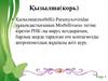 Қызылша (morbilli)