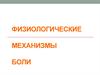 Физиологические механизмы боли