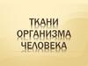 Ткани организма человека