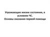 Угрожающие жизни состояния в условиях ЧС. Основы оказания первой помощи