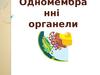 Одномембранні органели