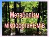 Метаболізм мікроорганізмів