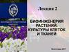 Биоинженерия растений. Культуры клеток и тканей. (Лекция 2)