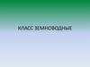 Класс Земноводные