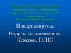 Пикорнавирусы. Вирусы полиомиелита, Коксаки, ЕСНО