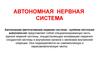 Автономная нервная система