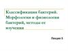 Классификация бактерий. Морфология и физиология бактерий, методы ее изучения