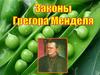 Законы Грегора Менделя