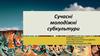 Сучасні молодіжні субкультури