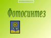 фотосинтез