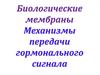Биологические мембраны. Механизмы передачи гормонального сигнала