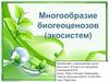 Многообразие биогеоценозов (экосистем)