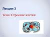 Строение клетки