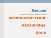 Физиологические механизмы боли