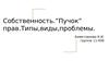 Собственность.”Пучок” прав.Типы,виды,проблемы