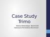 Case Study Trimo