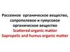 Рассеяное органическое вещество, сапропелевое и гумусовое органическое вещество