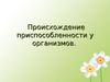 Приспособление организмов к среде обитания