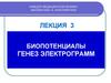 Биопотенциалы генез электрограмм